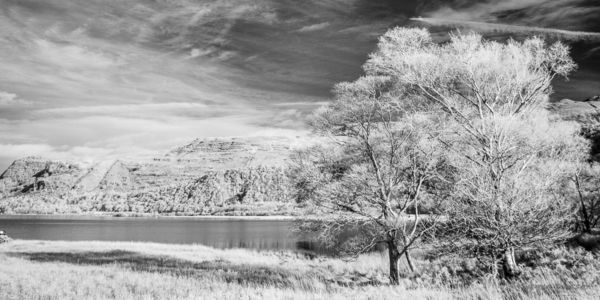 Infra-red photography